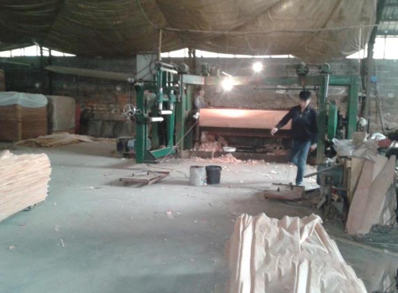 veneer peeling machine price